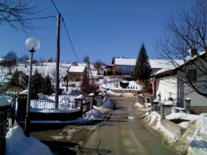 Velike Brusnice 2012