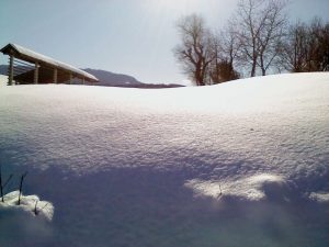 Velike Brusnice 2012