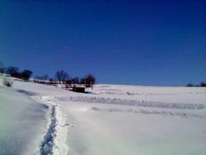 Velike Brusnice 2012