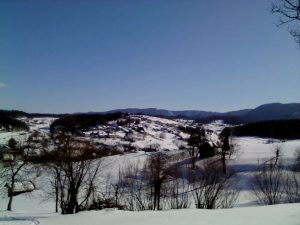 Velike Brusnice 2012