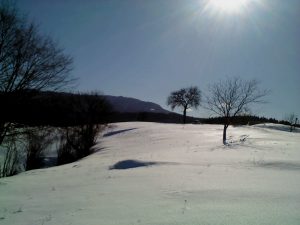 Velike Brusnice 2012