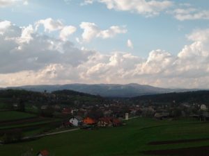 Velike Brusnice 2012