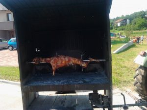 Velike Brusnice, praznik češenj 2012