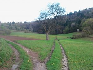 Velike Brusnice 2012