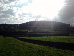 Velike Brusnice 2012